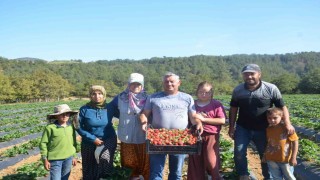 25 yıl yaptıkları işi yürütemediler, son çare olarak bunu buldular
