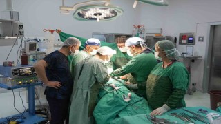 3 santimetrelik böbrek tümörü parsiyel nefrektomi ile çıkartıldı