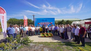 77 bin 400 fide toprakla buluşmak üzere çiftçilere dağıtıldı