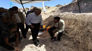 7,7 milyon yıllık kazılarda gelişme: Yeni bir tür olabilir