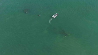 92 yıl yıl Orduda batmıştı: Rus şilebi dron ile görüntülendi, dalgıçlar gemiyi ilk kez keşfetti