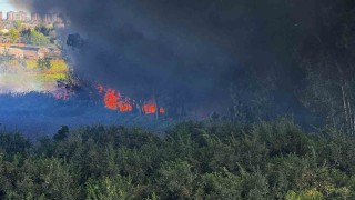 Adanada geri dönüşüm fabrikasında yangın çıktı