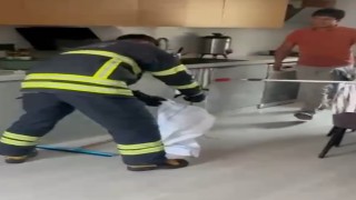 Adanada mutfaktan çıkan yılan paniğe yol açtı