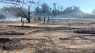 Adanada tarım işçilerinin kaldığı 4 çadır yandı