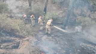 Adanadaki orman yangını kontrol altına alındı