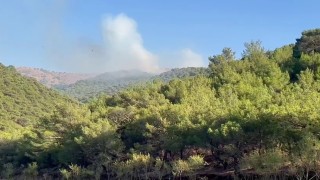 Adıyamanda korkutan orman yangını