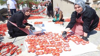 Afetzede kadınların kuruttuğu domatesler, kış aylarında sofraları süslüyor