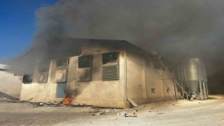 Afyonkarahisarda tavuk çiftliğinde yangın