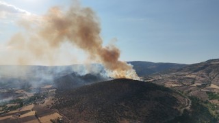 Ağaçlık alandan yükselen dumanlar kilometrelerce uzaktan görüldü