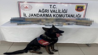 Ağrıda bin 227 paket gümrük kaçağı sigara ele geçirildi