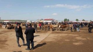 Ağrıda Canlı Hayvan Borsası 10 Eylülde açılacak