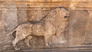 Ağrıda ele geçirilen lahitlerin sahte olduğu belirlendi