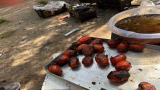 Ağrıda kış hazırlıkları başladı