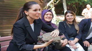 AK Parti Genel Başkan Yardımcısı Karaaslan: Çözüm üretme gayreti içerisinde olmak bizim düsturumuz, biz bunu Sayın Cumhurbaşkanımızdan gördük