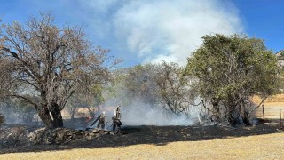 Aksekide otluk yangın büyümeden söndürüldü