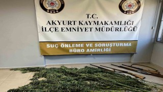 Akyurtta uyuşturucu operasyonu: Hint keneviri ve ruhsatsız tüfekler ele geçirildi