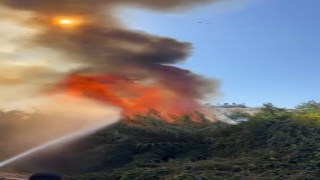 Alanyada çalılık alanda çıkan yangında 2 sera ve 2 dönüm arazi zarar gördü