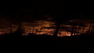 Alanyada ormanlık alanda yangın