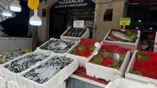 Alaplıda balık tezgâhları boş kaldı