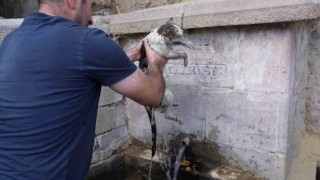 Alevlerin içinde kurtardığı kediye adeta can suyu verdi