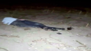 Alkollü sürücünün kontrolünden çıkan araç taklalar atarak tarlaya uçtu