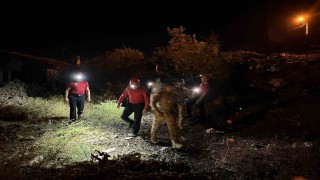 Alzheimer hastası kadın her yerde aranıyor