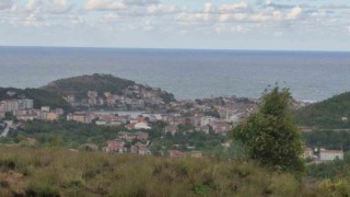 Amasrada denizin rengi değişti