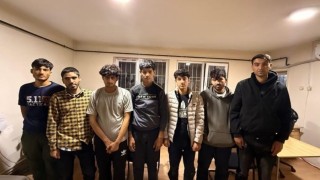 Amasyada ormanlık alanda 8 düzensiz göçmen yakalandı