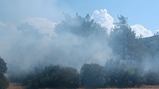 Andırında orman yangını büyümeden söndürüldü