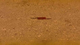 Ankarada havaya ateş açan şüphelilerin yakalanmasına yönelik çalışma başlatıldı