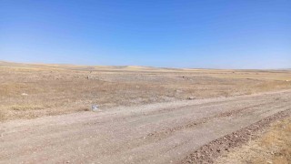 Ankaradaki bacanak cinayetinde 10 yıllık husumet iddiası