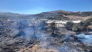 Antakyada bahçe yangını