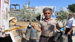 Antalya Büyükşehir Belediyesinden fidan desteği