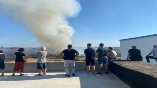 Antalyada makilik alanda çıkan yangın zeytin ağaçlarına zarar verdi