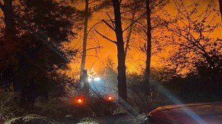 Antalyada ormanlık alanda yangın