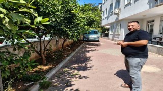 Antalyada portakal koparma kavgası