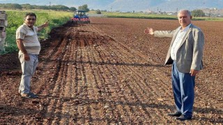 Araban Ovasında tecilli Araban sarımsağı ekimine başladı