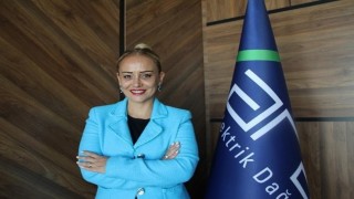 Aras EDAŞ CFOsu Arzu Miroğluna uluslararası ödül