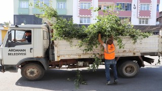 Ardahan Belediyesinden ağaç budama faaliyeti
