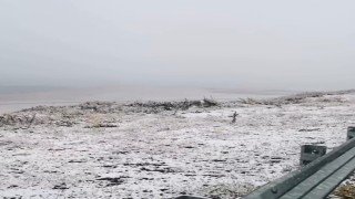 Ardahana mevsimin ilk karı yağdı