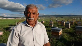 Ardahanda 450 ton bal üretildi