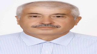 Arı sokması alerjisi olan yaşlı adam traktörünün direksiyonunda ölü bulundu