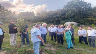 Arıcılar ve akademisyenler kestane balının geleceğini konuştu