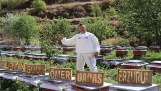 Arılarına yazmayı öğretti