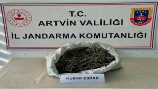 Artvinde uyuşturucu operasyonu