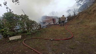 Artvinde yangın paniği: 4 ev küle döndü