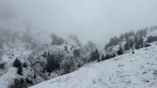 Artvinde yaylalar kar altında