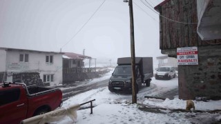 Artvinin vadilerini sel, yaylalarını kar vurdu