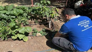 ASATtan usulsüz su kullanımına karşı sıkı denetim