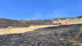 Aşkale Güneyçam Köyünde anız yangını: 100 dönüm alan kül oldu